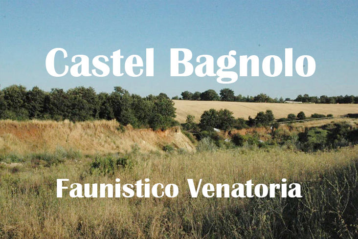 Castel Bagnolo caccia nel lazio stanziale lepre