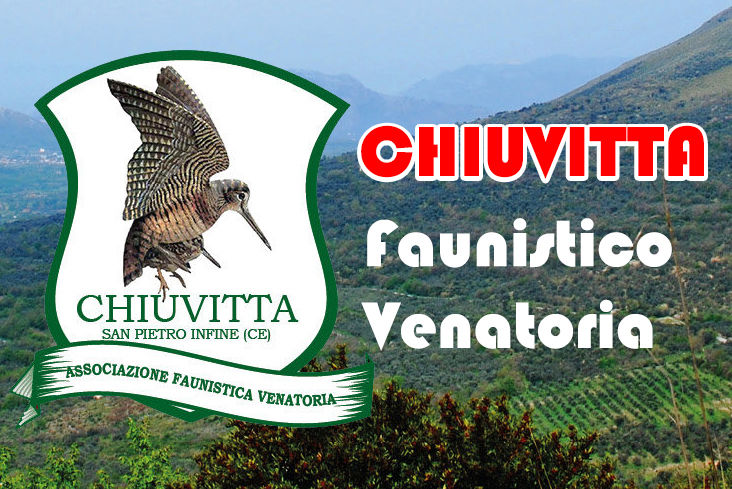 chiuvitta caccia al fagiano in campania