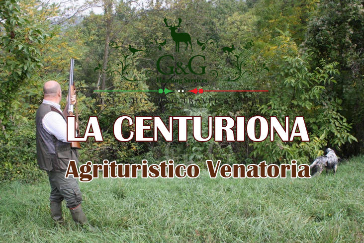 la centuriona caccia alla pernice rossa in piemonte