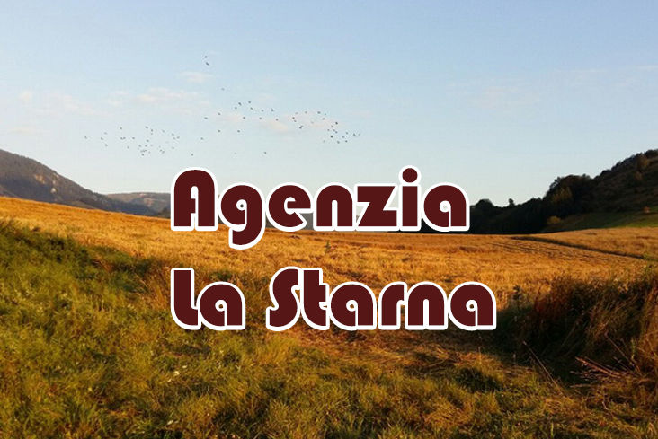 caccia alla lepre in serbia la starna
