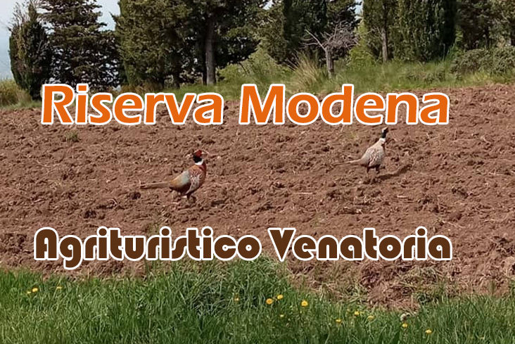 riserva modena caccia alla pernice rossa in toscana