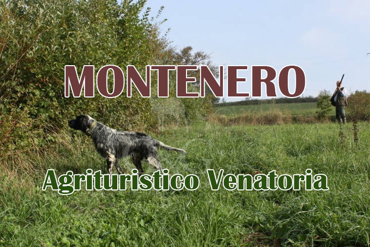 montenero caccia alla pernice rossa in umbria