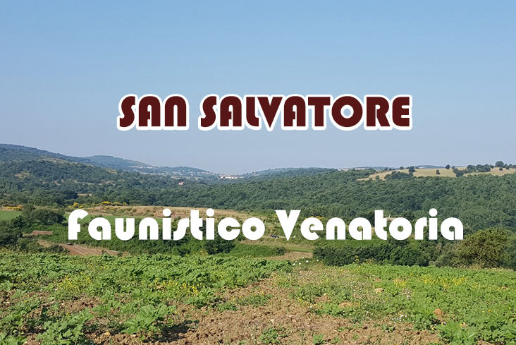 San Salvatore caccia nel lazio stanziale lepre