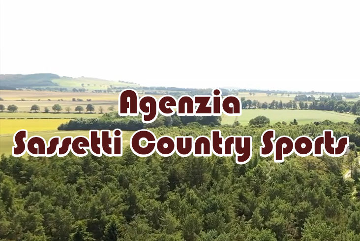 caccia alla beccaccia in scozia sassetti country sports
